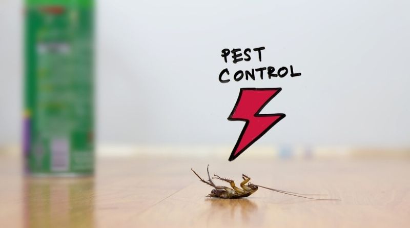 pest control service in TX